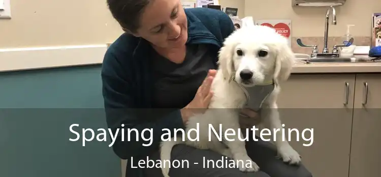 Spaying and Neutering Lebanon - Indiana