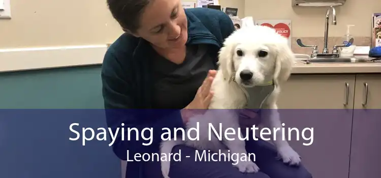 Spaying and Neutering Leonard - Michigan