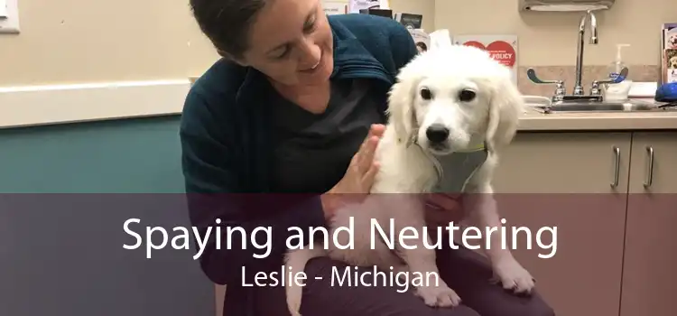 Spaying and Neutering Leslie - Michigan