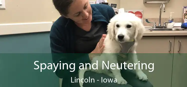 Spaying and Neutering Lincoln - Iowa