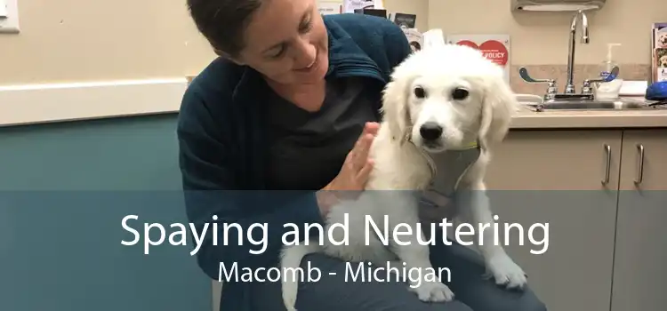 Spaying and Neutering Macomb - Michigan