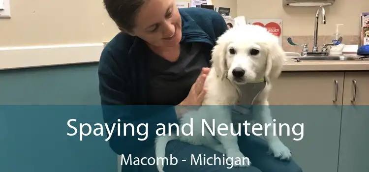 Spaying and Neutering Macomb - Michigan