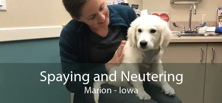 Spaying and Neutering Marion - Iowa