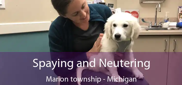 Spaying and Neutering Marion township - Michigan