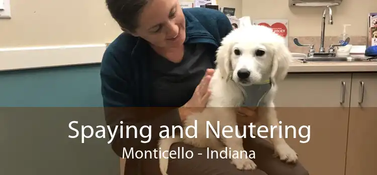 Spaying and Neutering Monticello - Indiana