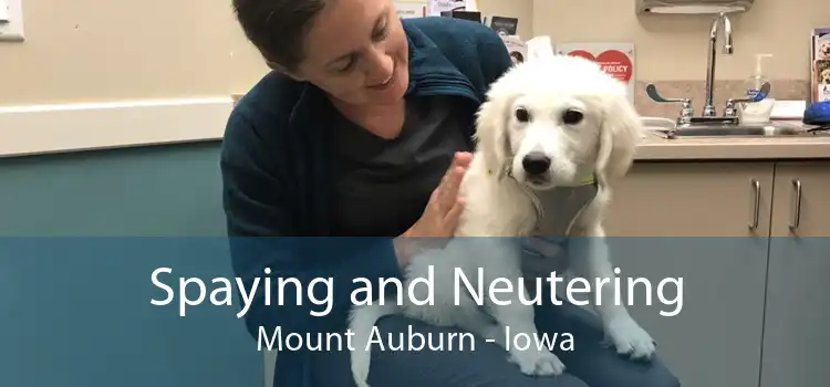 Spaying and Neutering Mount Auburn - Iowa