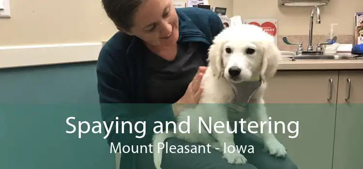 Spaying and Neutering Mount Pleasant - Iowa