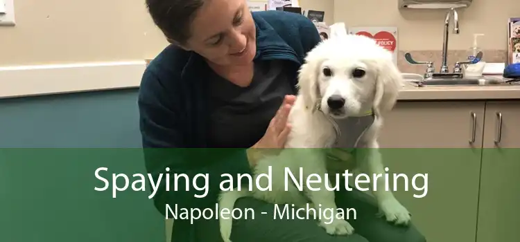 Spaying and Neutering Napoleon - Michigan