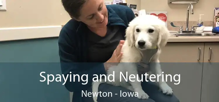 Spaying and Neutering Newton - Iowa