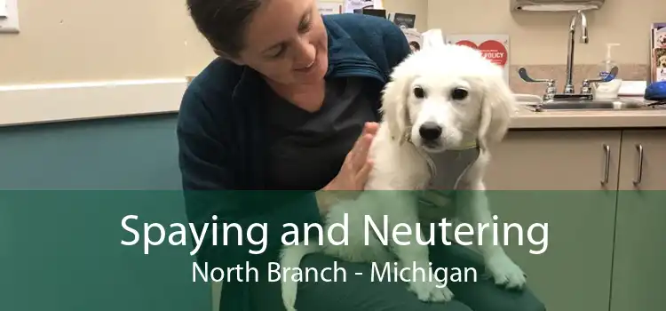 Spaying and Neutering North Branch - Michigan