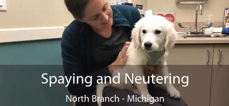 Spaying and Neutering North Branch - Michigan