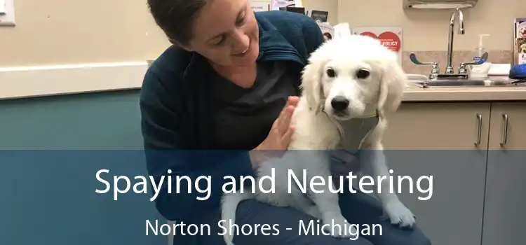 Spaying and Neutering Norton Shores - Michigan