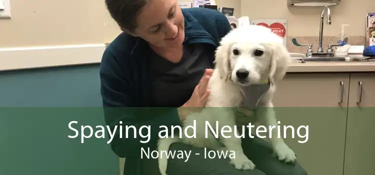 Spaying and Neutering Norway - Iowa