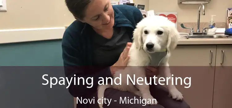 Spaying and Neutering Novi city - Michigan