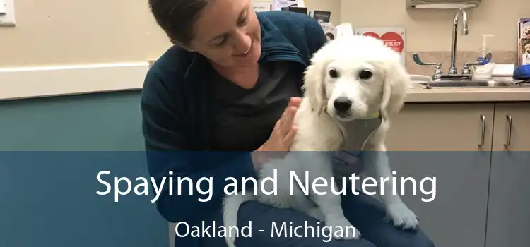 Spaying and Neutering Oakland - Michigan