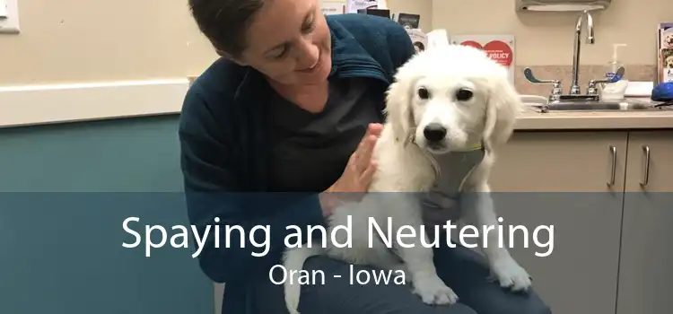 Spaying and Neutering Oran - Iowa