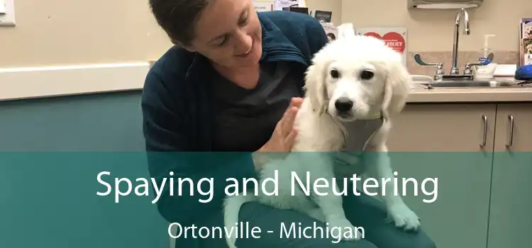 Spaying and Neutering Ortonville - Michigan