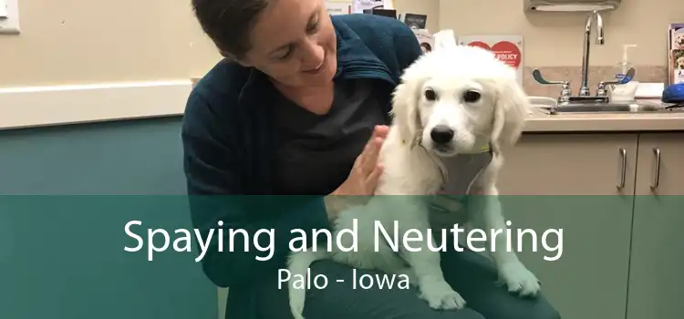 Spaying and Neutering Palo - Iowa
