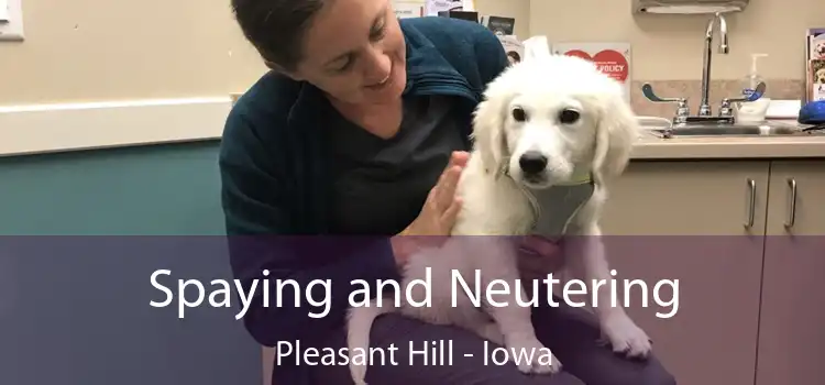 Spaying and Neutering Pleasant Hill - Iowa