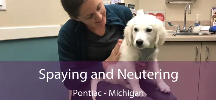 Spaying and Neutering Pontiac - Michigan