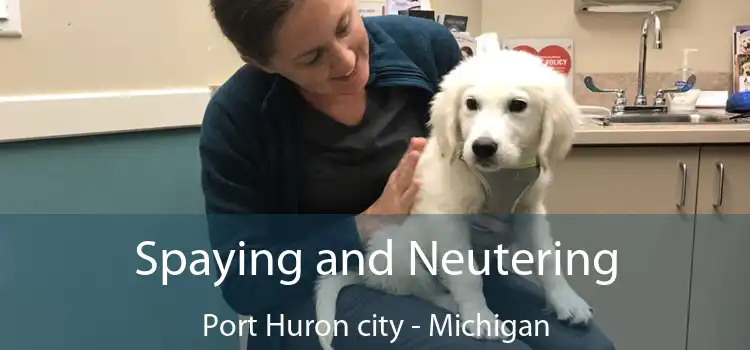 Spaying and Neutering Port Huron city - Michigan