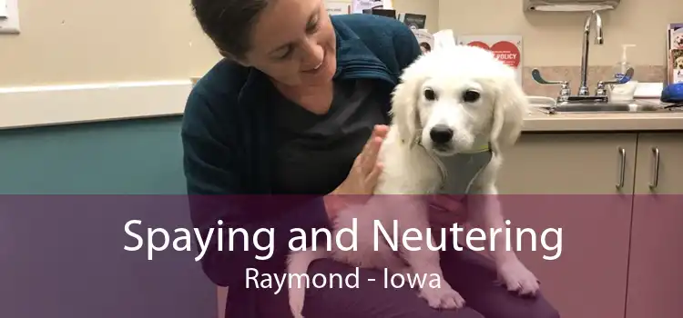 Spaying and Neutering Raymond - Iowa