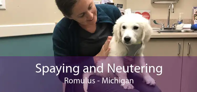 Spaying and Neutering Romulus - Michigan