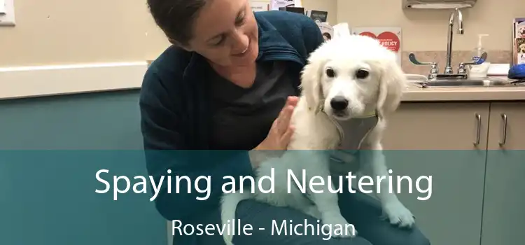 Spaying and Neutering Roseville - Michigan