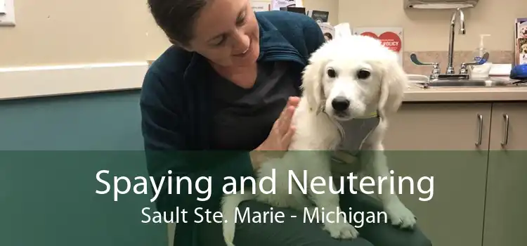 Spaying and Neutering Sault Ste. Marie - Michigan