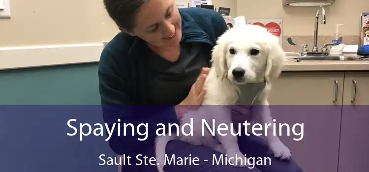 Spaying and Neutering Sault Ste. Marie - Michigan