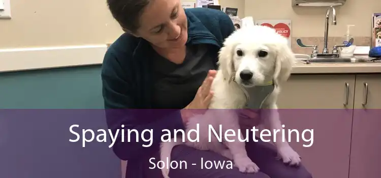 Spaying and Neutering Solon - Iowa