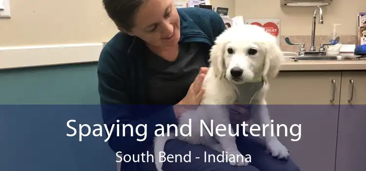Spaying and Neutering South Bend - Indiana