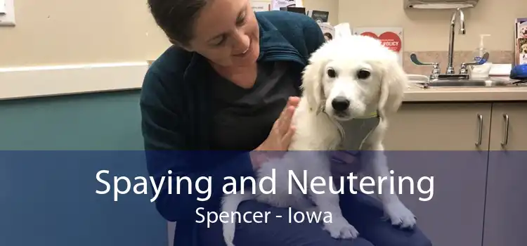 Spaying and Neutering Spencer - Iowa
