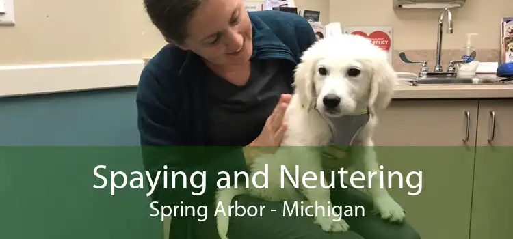 Spaying and Neutering Spring Arbor - Michigan