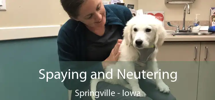 Spaying and Neutering Springville - Iowa