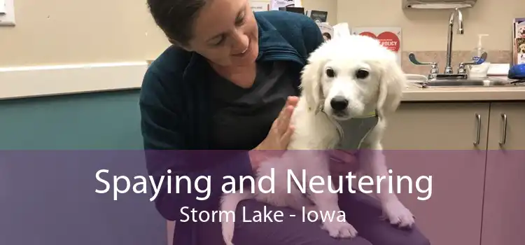 Spaying and Neutering Storm Lake - Iowa
