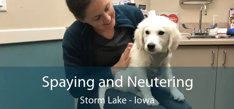 Spaying and Neutering Storm Lake - Iowa