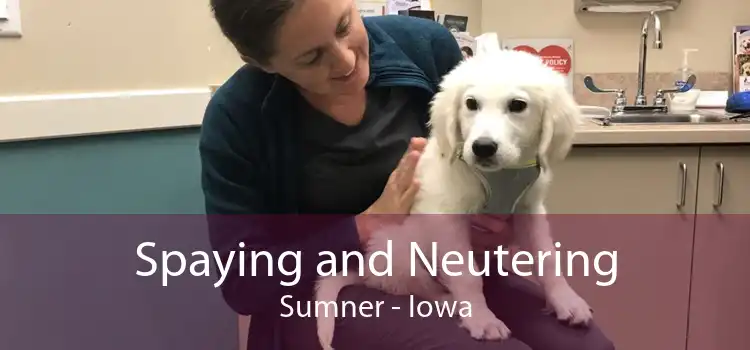 Spaying and Neutering Sumner - Iowa