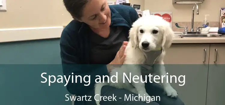 Spaying and Neutering Swartz Creek - Michigan