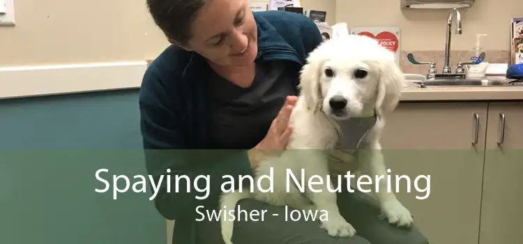 Spaying and Neutering Swisher - Iowa