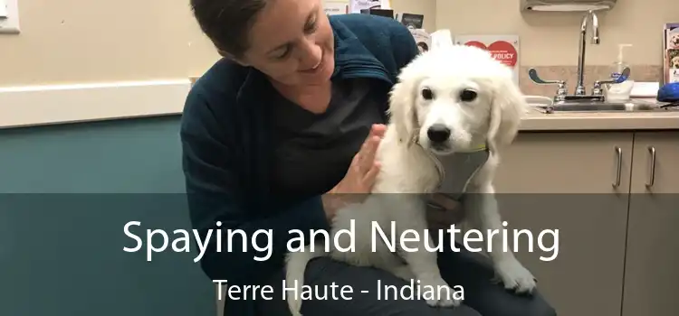 Spaying and Neutering Terre Haute - Indiana