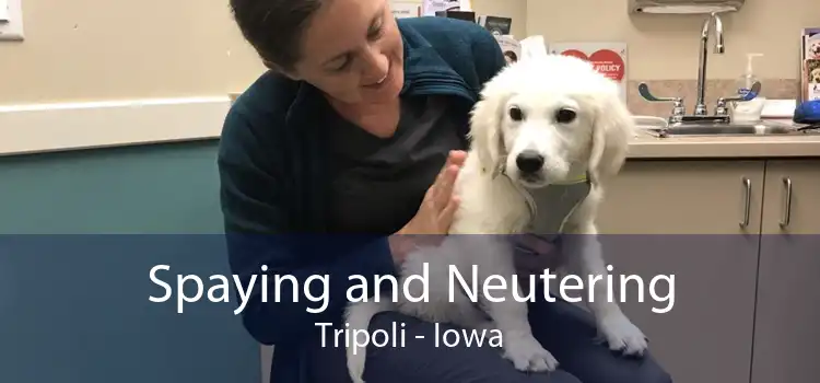 Spaying and Neutering Tripoli - Iowa