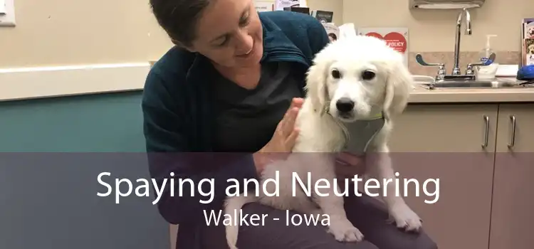 Spaying and Neutering Walker - Iowa