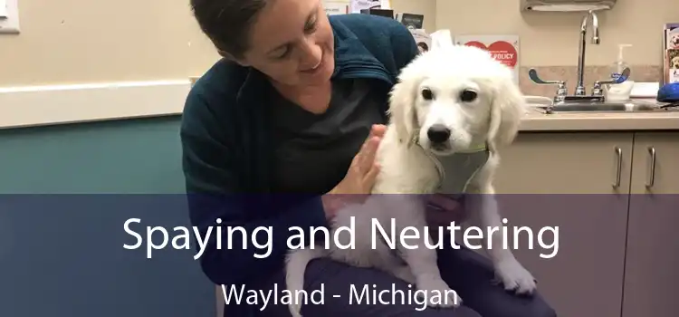 Spaying and Neutering Wayland - Michigan
