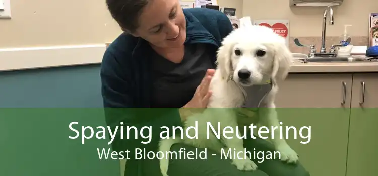 Spaying and Neutering West Bloomfield - Michigan
