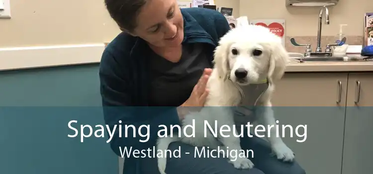 Spaying and Neutering Westland - Michigan