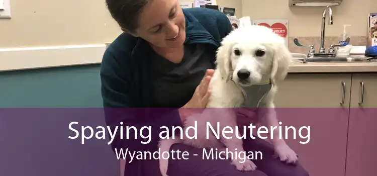Spaying and Neutering Wyandotte - Michigan