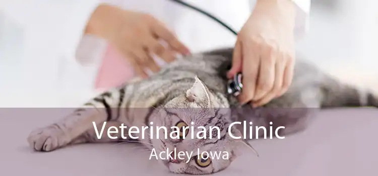 Veterinarian Clinic Ackley Iowa