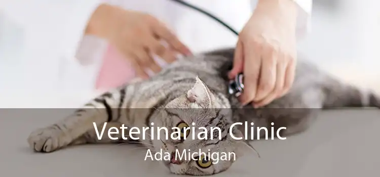 Veterinarian Clinic Ada Michigan