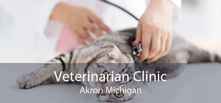 Veterinarian Clinic Akron Michigan